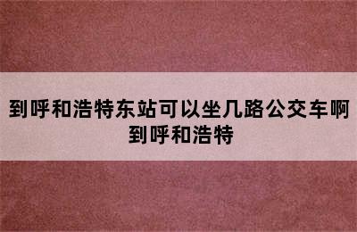 到呼和浩特东站可以坐几路公交车啊 到呼和浩特